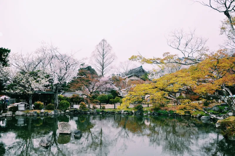 Petals and Pixels: How Japanese Garden Philosophy Secretly Drives Anime's Most Emotional Scenes